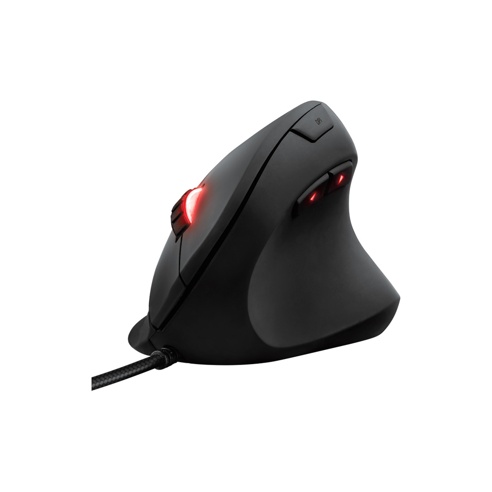 22991 MOUSE TRUST GXT 144 REXX VERTICAL